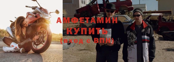 мет Алексин