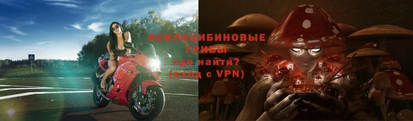 спиды Алексеевка
