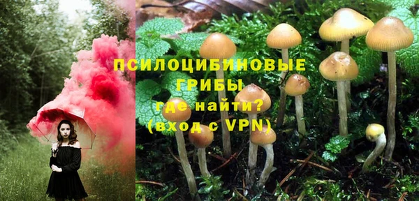 мдпв Алзамай
