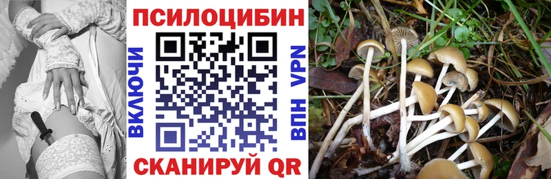 Псилоцибиновые грибы Magic Shrooms  Щёлкино 
